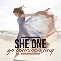 Go Your Own Way (Coustan Remix)