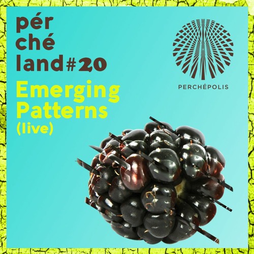 Emerging Patterns - Percheland #20