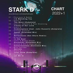 Stark D - 2022+1