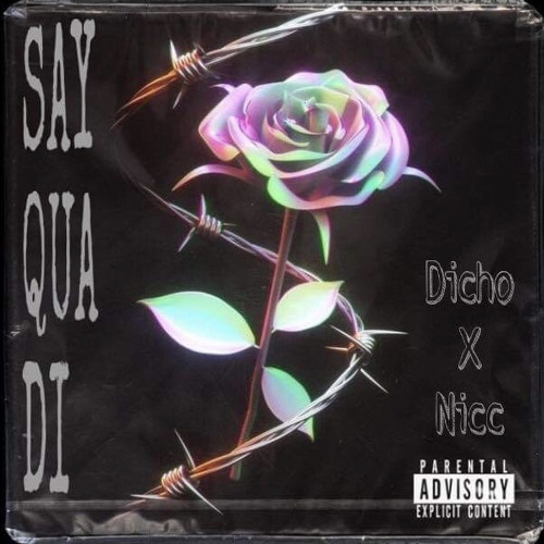 ‘sayquadi - Dichou$ x Nicc’