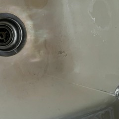 Oleander (Prod. imnotshabazz)