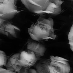 Hoa Tàn Tình Tan Remix (Bản Hot Tiktok)  - Em Chẳng Thấy Bầu Trời Trong Xanh Remix