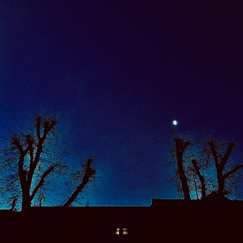 Gaudier's Podcast for Piknik Elektronik Records