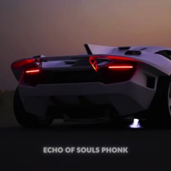 ECHO OF SOULS - PHONK