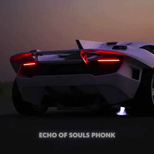 ECHO OF SOULS - PHONK