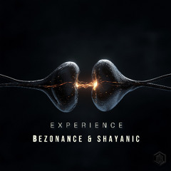 Experience (Original Mix)
