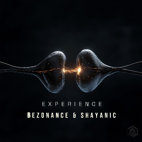 Experience (Original Mix)