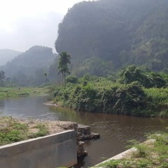 Kokoro wo Komete - Aoi Teshima (cover) .mp3