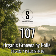 Organic Grooves by Ralle 107, 01.04.2025