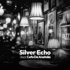 Silver Echo