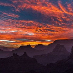 Cinnamon Sky