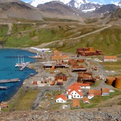Exploring Grytviken and meeting the wildlife