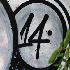 Project 14