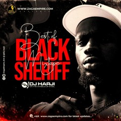 Best Of Black Sherif Mix