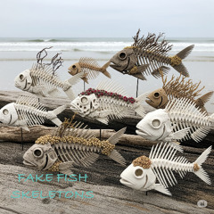 Fake fish skeletons
