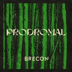 Premiere: Brecon - Prodromal