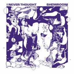 Shemrooni - I Never Thought