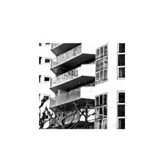 Night Flight (2023 Version)