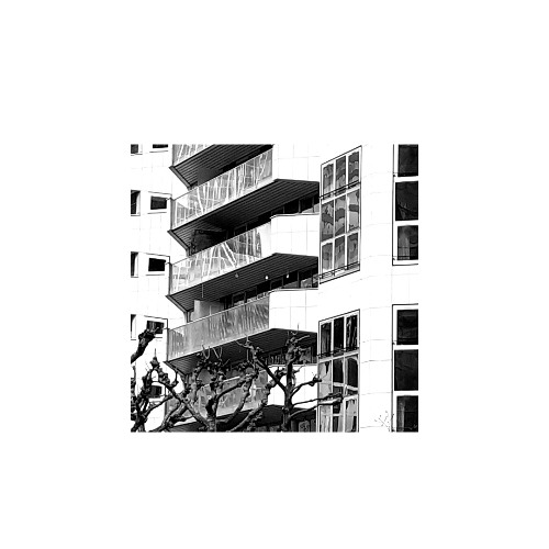 Night Flight (2023 Version)