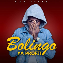 Bolingo ya profit