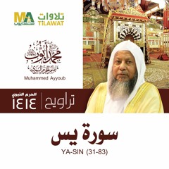 سورة يس (31-83) من تراويح المسجد النبوي 1414 - الشيخ محمد أيوب