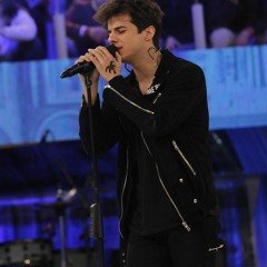 We Are The Wild Ones