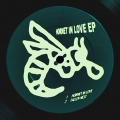 Hornet in Love