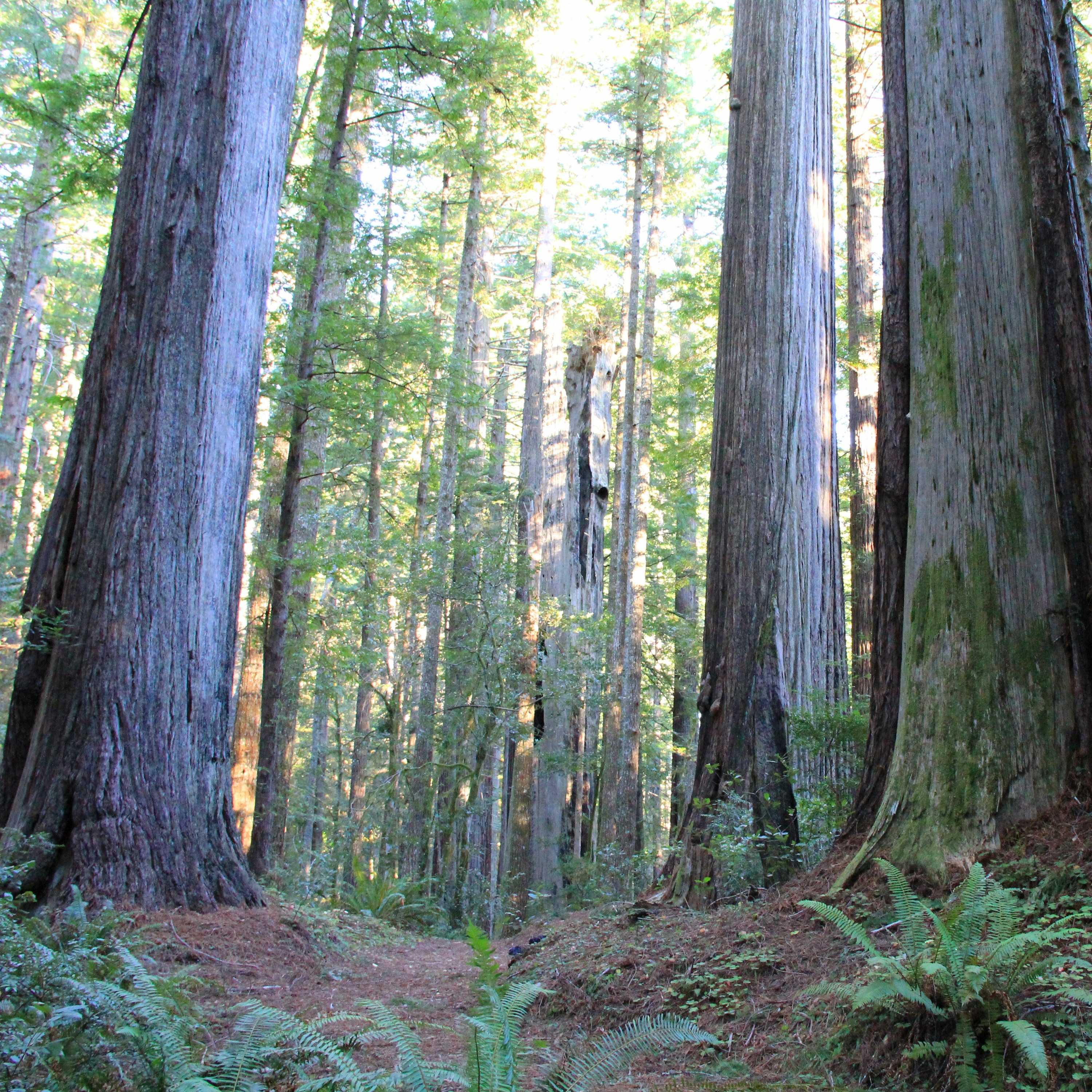 Explore Oregon Podcast: The state\'s most beautiful places and biggest issues