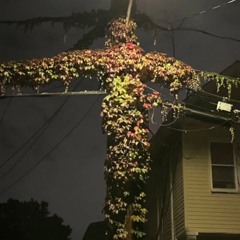 R u scared? (uunitzz n mucle999)