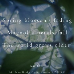 Fading Magnolia Petals [NaviarHaiku432]