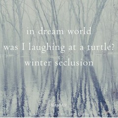 Turtle Shell (NaviarHaiku488)