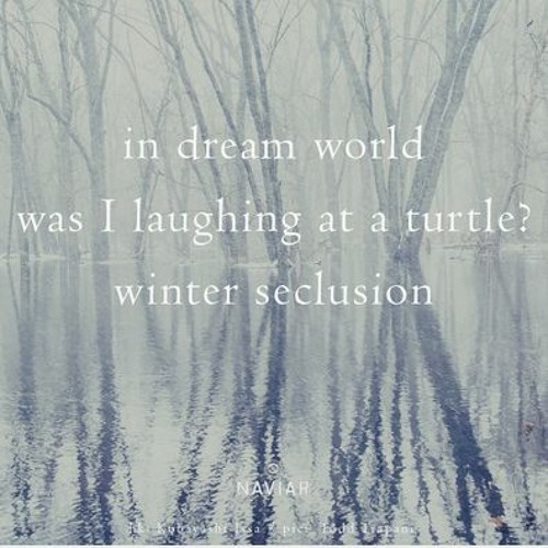 Turtle Shell (NaviarHaiku488)