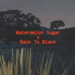 Watermelon Sugar x Back To Black - Harry Styles x Amy Winehouse (Mashup)