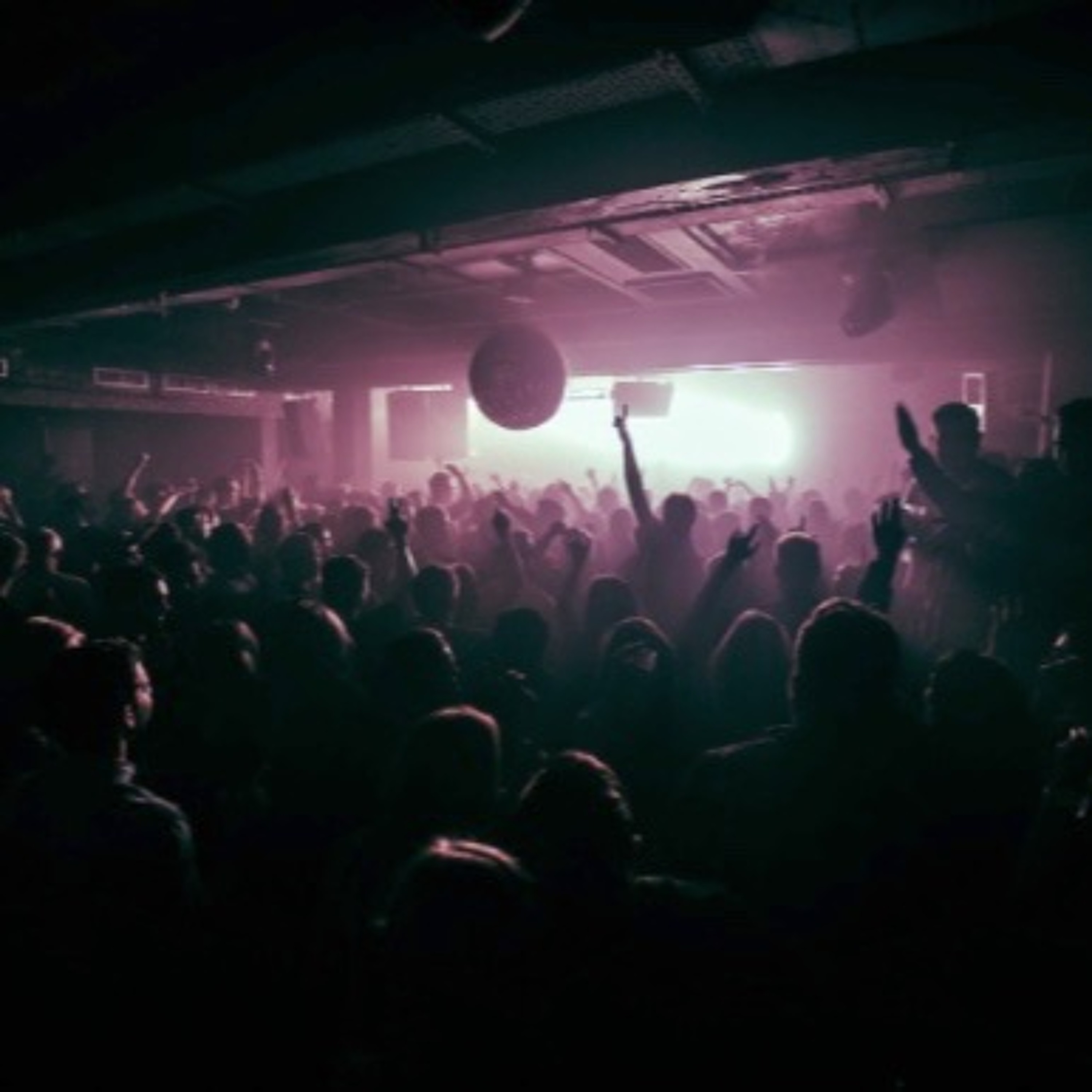 The Drezzil Project