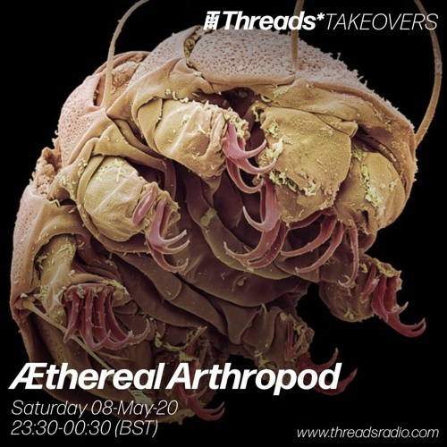 XOLO w/ Æthereal Arthropod