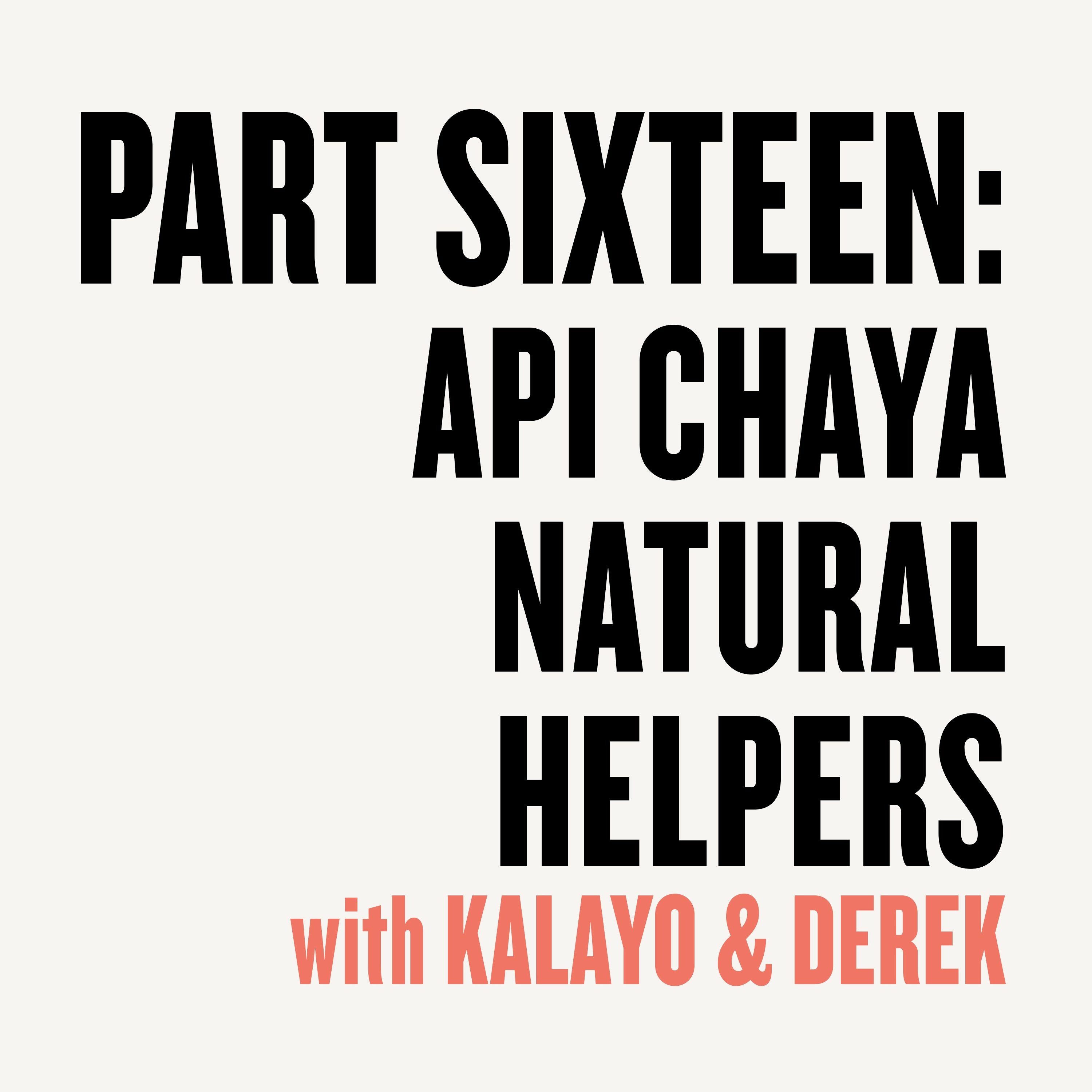 Ep 326 - One Million Experiments Part 16: API Chaya Natural Helpers