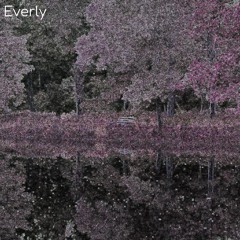 Fairies Dancing Under the Moonlight