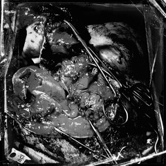 KRUELTY † THE KULT