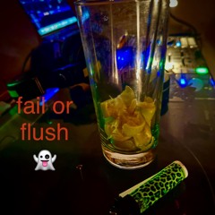 REC - 2024 033PA fail or flush