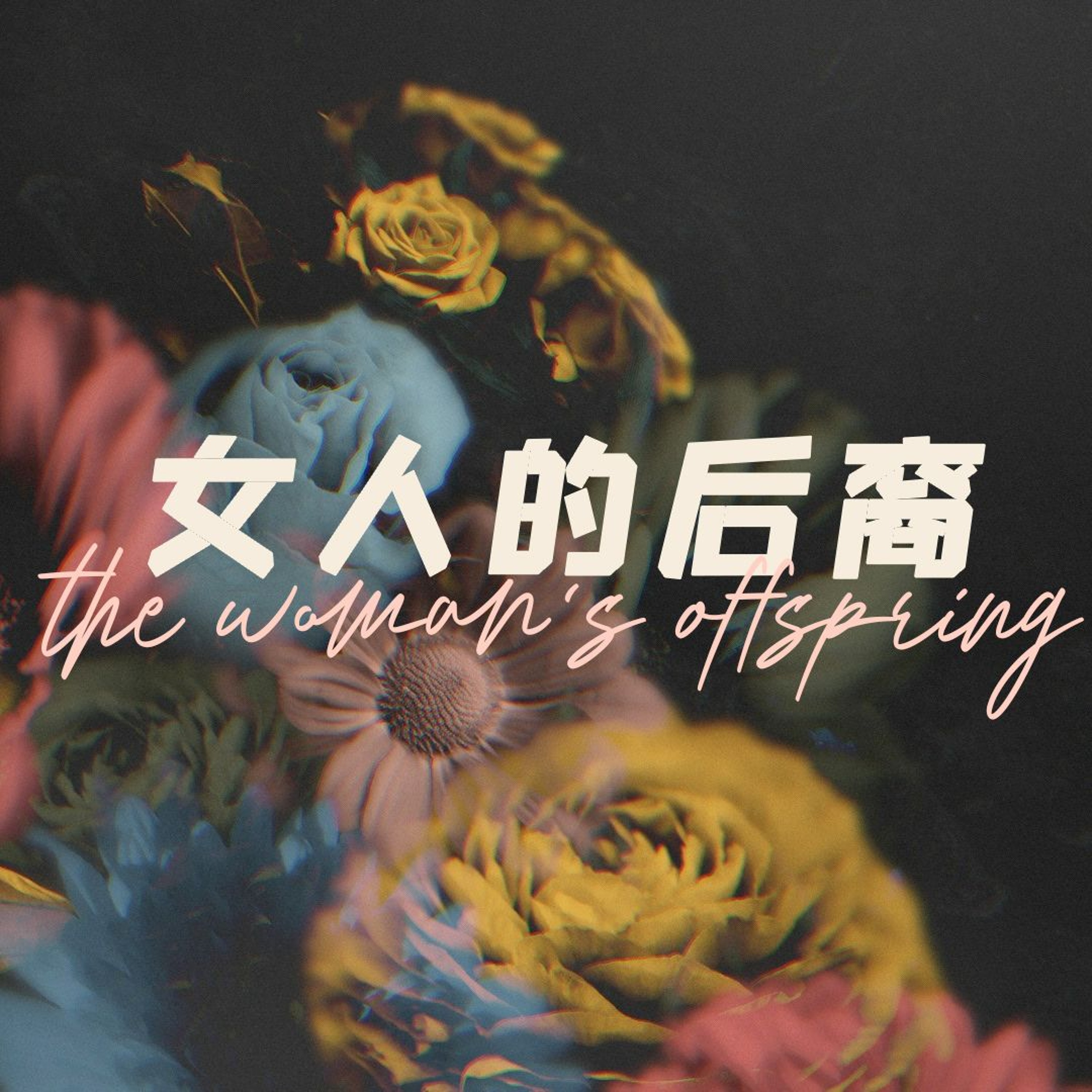05/12/2024 【特别信息】女人的后裔（出 2:1-10）—— 王唯权 牧师 episode artwork