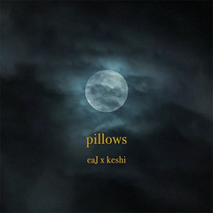 eaJ x keshi - pillows