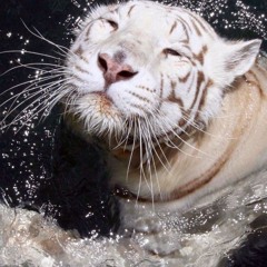 mi$$ion .Kerny .renxozzz