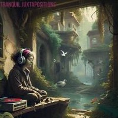 Tranquil Juxtapositions - LyricalLisa