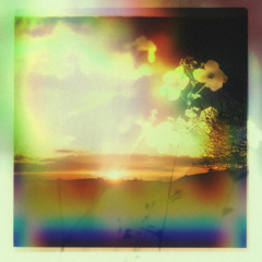 Golden Hour