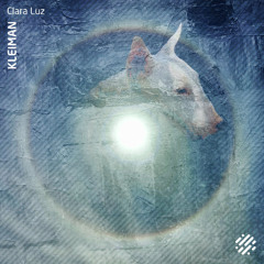 Kleiman - Clara Luz (Lewis. Remix) | Digital Structures