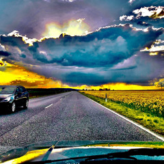 Der letzte große Wal (Tomte)