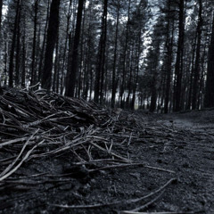 Sadness-BridgeToDepression