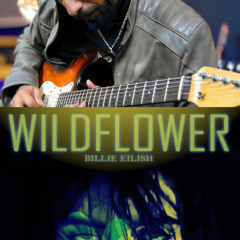 WildFlower | Billie Eilish | Guitar Cover