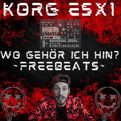 Wo Gehör Ich Hin? (ESX1)