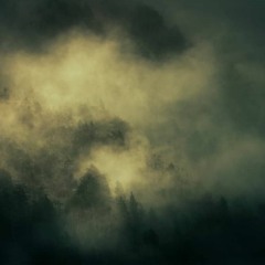 Lett Records Podcast VI - The Unknown Psychologist
